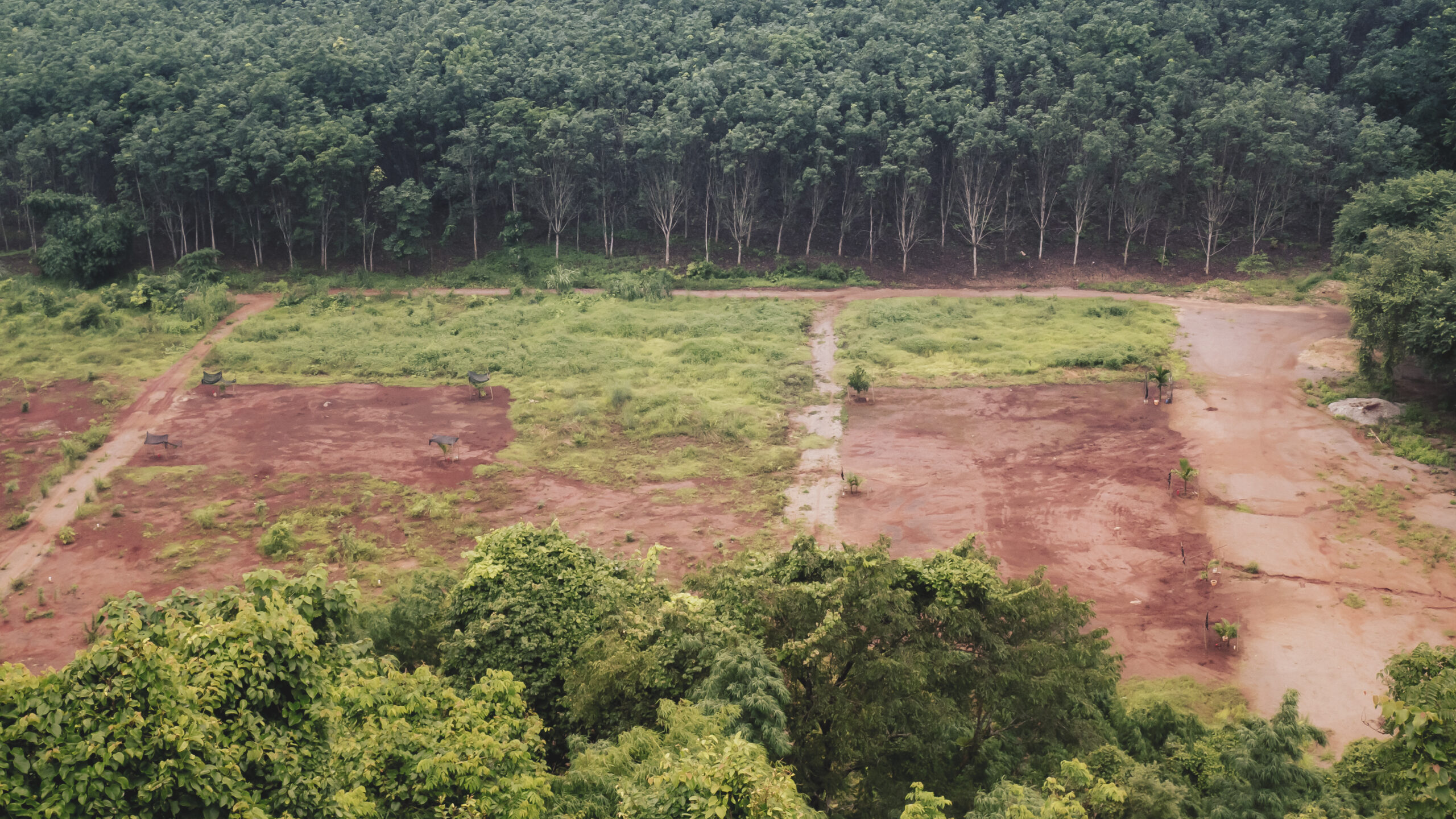 Deforestation: Scarred earth where tropical rain forest has been destroyed by human development
