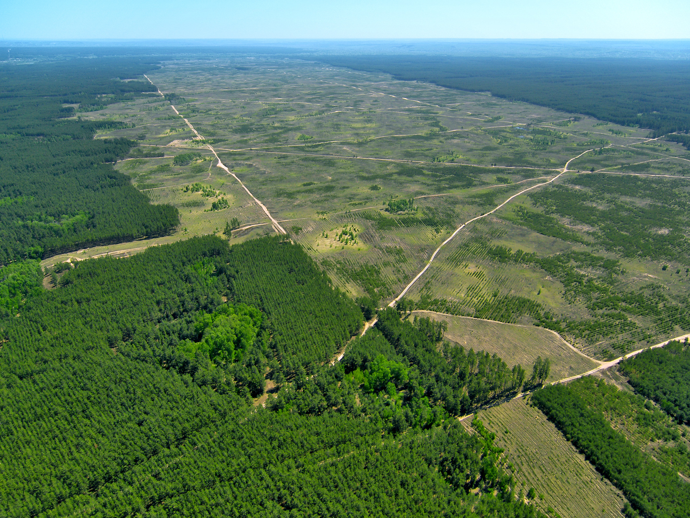 Deforestation. (Aerial view).