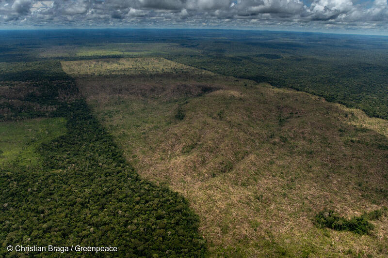 Aerial imagem of an overflight for monitoring deforestation in the Amazon, in Lábrea, Amazonas state, on March 26th, 2022.
Imagem aérea de sobrevoo de monitoramento de desmatamento na Amazônia no município de Lábrea, Amazonas, realizado em 26 de março de 2022.