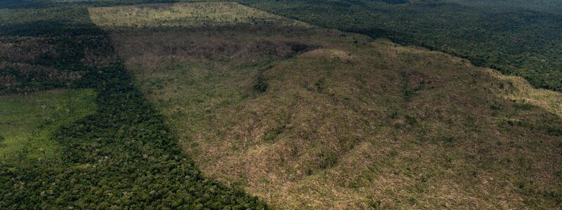 Aerial imagem of an overflight for monitoring deforestation in the Amazon, in Lábrea, Amazonas state, on March 26th, 2022.Imagem aérea de sobrevoo de monitoramento de desmatamento na Amazônia no município de Lábrea, Amazonas, realizado em 26 de março de 2022.